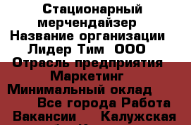 Стационарный мерчендайзер › Название организации ­ Лидер Тим, ООО › Отрасль предприятия ­ Маркетинг › Минимальный оклад ­ 24 800 - Все города Работа » Вакансии   . Калужская обл.,Калуга г.